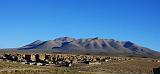 BOLIVIA - da Uyuni a Villamar - 46